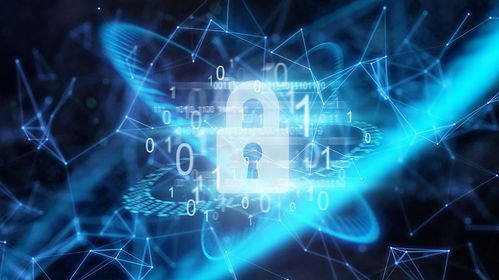 97個數(shù)字職業(yè)面世 網(wǎng)絡(luò)技術(shù)開發(fā)就業(yè)市場的新機(jī)遇與挑戰(zhàn)